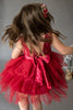 Deep Red Lace Tutu Dress with Sash